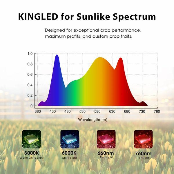 KINGLED 2000W Quantum Dimmable LED Grow Light With 684pcs Samsung LED's 4x4ft Coverage Full Spectrum for Hydroponics Greenhouse Commercial Indoor New